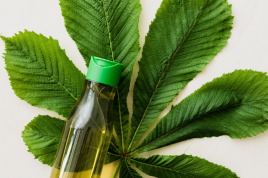 gallery/bottle-of-beauty-oil-and-big-green-leaf-4465969