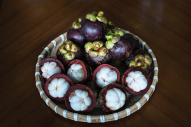 gallery/1. Mangosteen